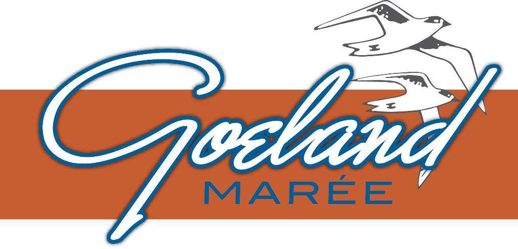 Goëland Marée à Cappelle-la-Grande